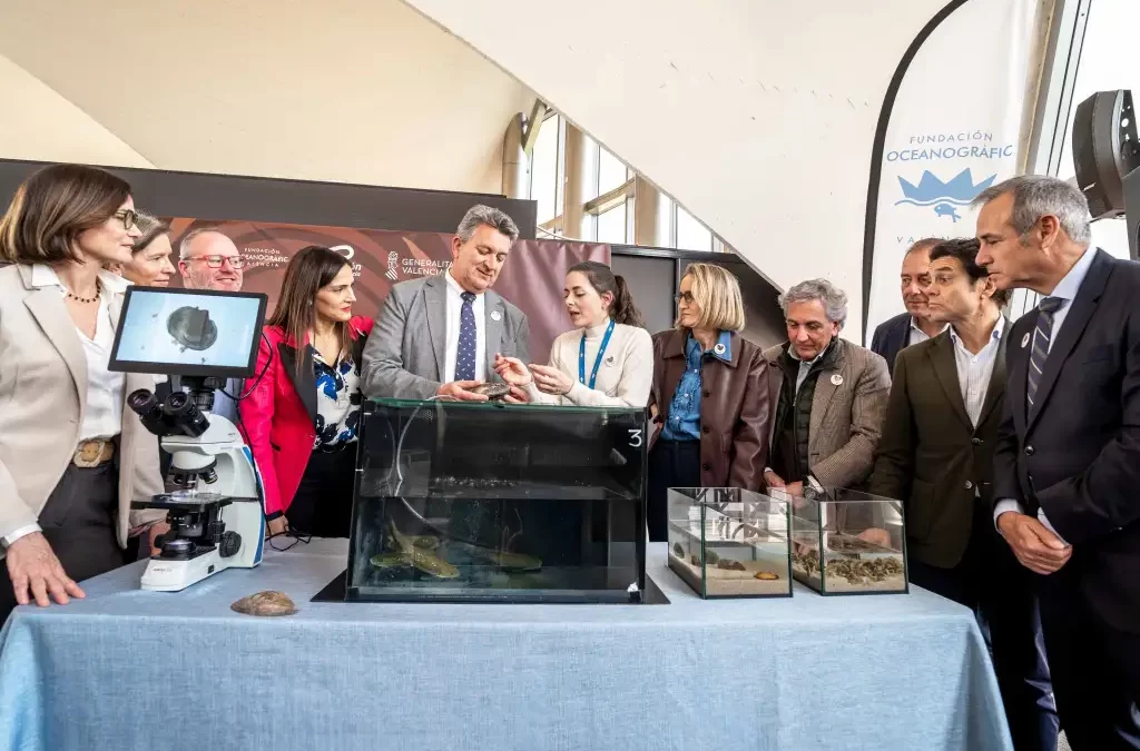 El Oceanogràfic impulsa una alianza para proteger el petxinot como depurador natural de l’Albufera